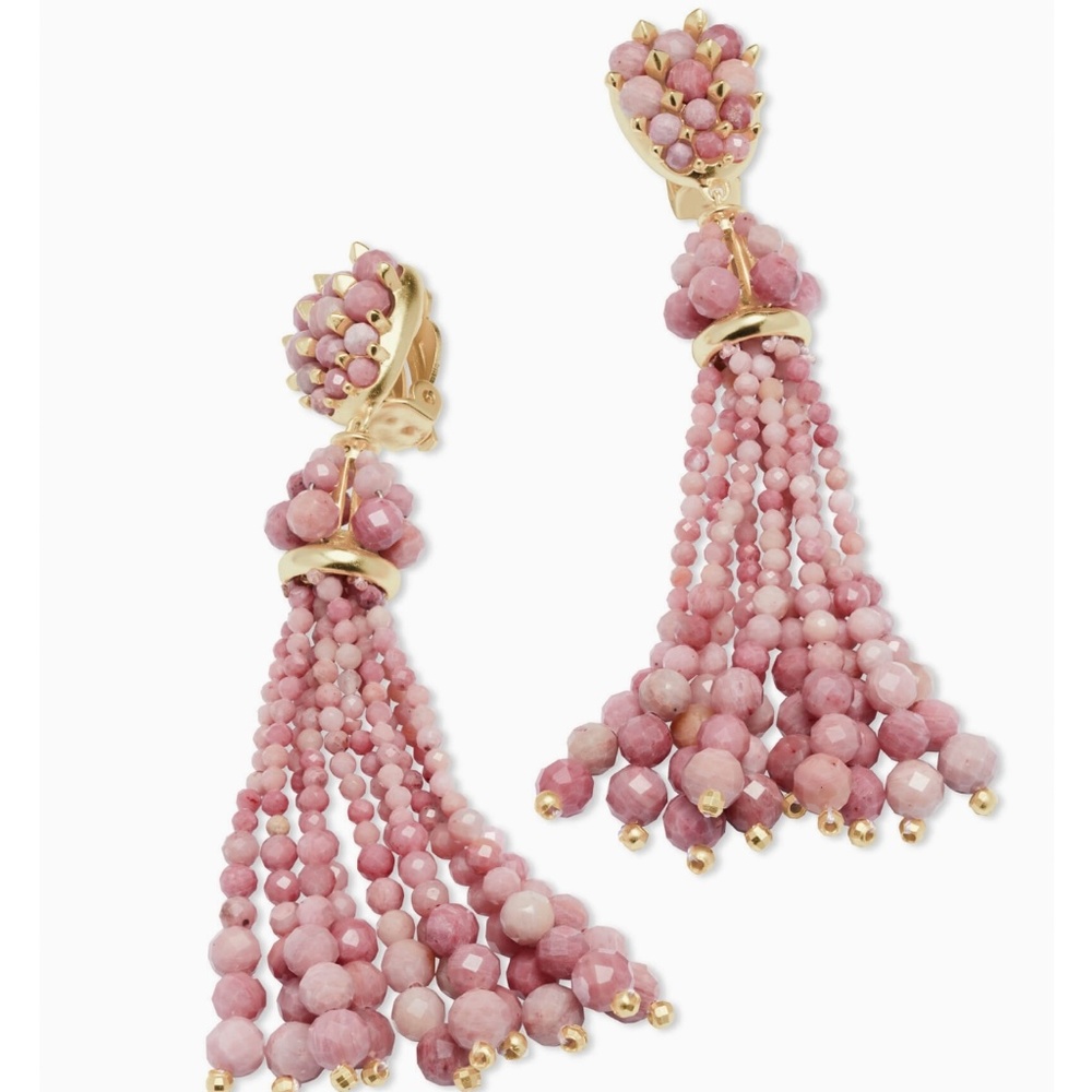 NWT Kendra Scott Cecily Earring